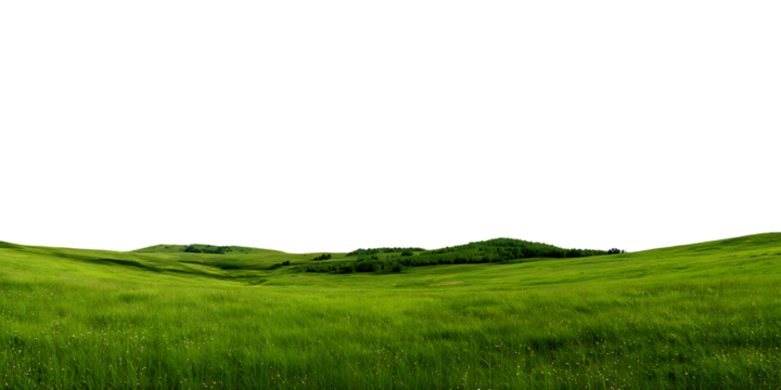 Green Grass Field with Hills Isolated on Transparent Background