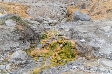 Sulfur hot spring flowing from the Himalayas with green-yellow mineral markings on stones and rising steam, showcasing geothermal activity,Himalayan landscape, and natural wonder