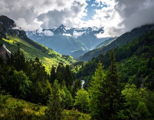 Lush green valley nestled between snow-capped mountains under a cloudy sky.
