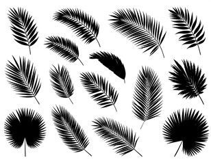 Collection of diverse palm leaf silhouettes, displayed against a plain white background, showcasing intricate patterns and varying shapes.
