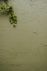 Minimalist green textured wall with cracks and small fresh plant branch, abstract background design combining natural imperfection, organic details, and modern eco-inspired aesthetics