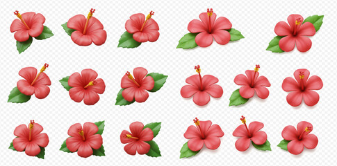 Collection of fifteen digitally rendered red hibiscus flowers with green leaves on a transparent background.