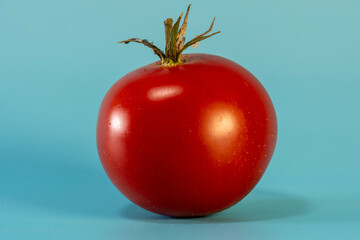tomato on a blue background