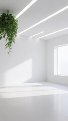 Minimalist white room with hanging plant and natural light from window