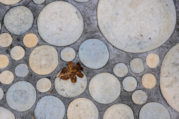 2023-12-31 VARIOUS CIRCLES IN DIFFERENT SIZES IN LAID IN CONCRETE WITH ROUGH SURFACES AND ONE LEAF