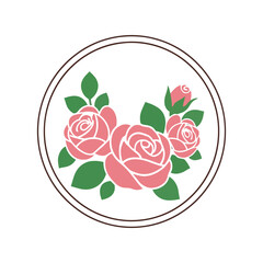 Delicate pink roses floral emblem circular design elegant botanical art for invitations and branding vector