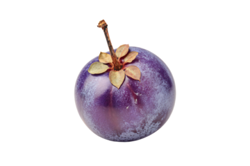 a purple plum fruit with a leaf on top