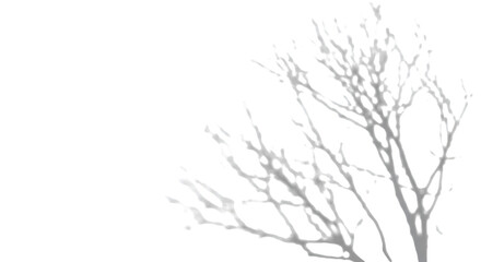 tree branches with roots