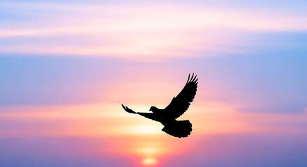 Silhouette of a bird flying against a colorful sunset sky with pink, purple, and orange hues.
