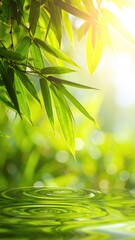 Lush green bamboo leaves over tranquil water