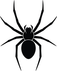 Detailed silhouette of a black widow spider vector art illustration isolated on vector