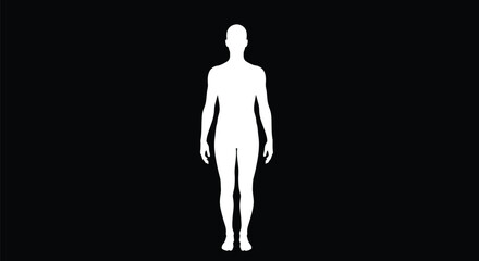 Human silhouette full body standing front view white outline illustration on vector