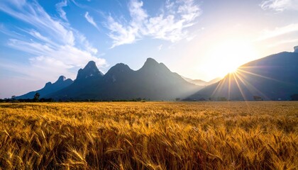 Golden wheat field at sunset, silhouetted mountains