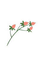 Rose Hips on Branch.ai