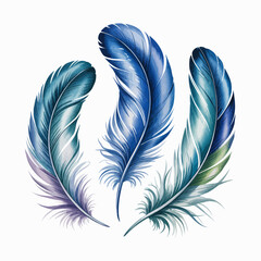 blue feather on white background © ahnaf
