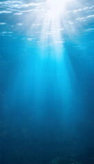 Obraz premium Sunlight streams through the clear blue ocean water, illuminating the depths below.