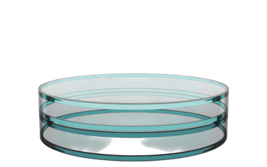 Elegant glass bowl with turquoise accents design on transparent background