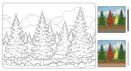 Forest coloring page design