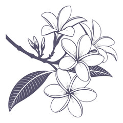 frangipani plumeria hawaiian foam