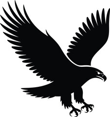 Obraz premium Black eagle in flight bird wings