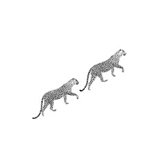 Two leopards with spotted coats walking diagonally across a white background in a minimalist style design