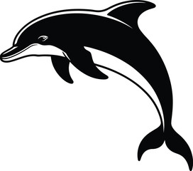 Obraz premium Black dolphin leaping gracefully white jumping