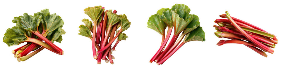 Fresh Rhubarb Stalks and Leaves Displayed on Transparent Background