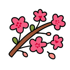 branch with cherry blossom flowers