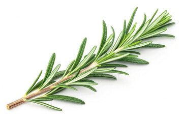 Fototapeta premium Rosemary isolated PNG on white background