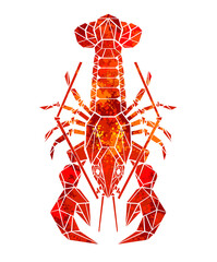 Red polygonal lobster
