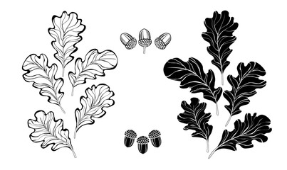 Monochrome oak leaves