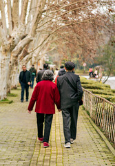 Elderly couple walking hand in hand on a tree-lined path