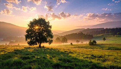 A solitary tree stands tall against a backdrop of rolling hills bathed in the golden light of sunrise.
