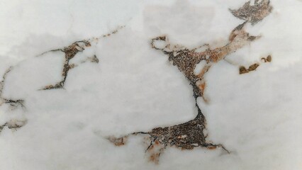 Elegant white granite with intricate brown veining. The natural stone pattern adds a sophisticated touch.