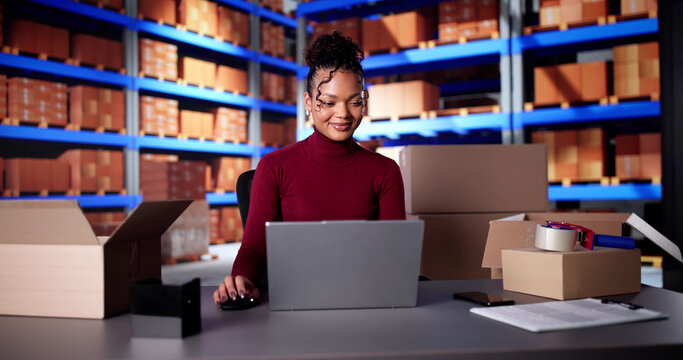 Young African American Woman Working