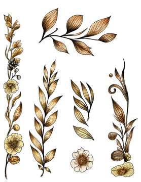 Flores y adornos  
