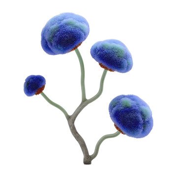 Four spherical blue fantastical organic growths on branching stems isolated on black