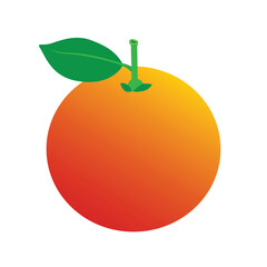 Fruit orange logo and icon