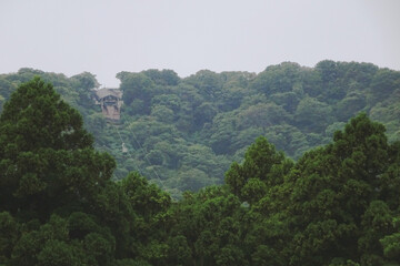 Fototapeta premium 弥彦神社から奥宮へ上がる弥彦山ロープウェイ【日本の神社100選】新潟県弥彦村