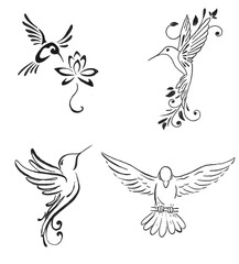 brids drawing illustrations design for templates.