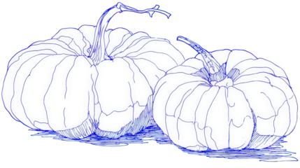 Two White Pumpkins on Transparent Background
