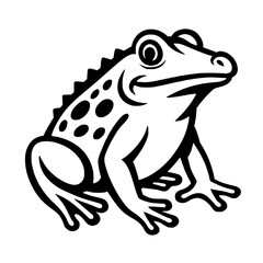 frog on white background