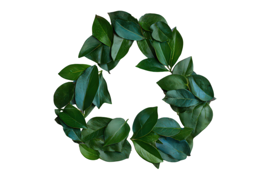 Green Leaves Recycle Symbol on Black Background