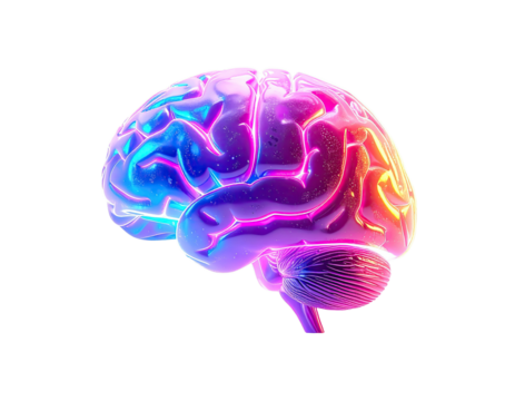 Colorful 3D stylized brain, vibrant hues