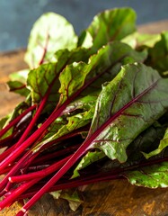 Close-up of vibrant red and green beet greens