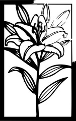 Elegant lily flower illustration with delicate petals and lush green stem, perfect for floral designs.