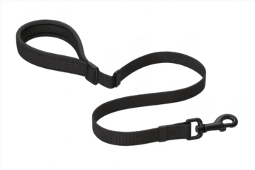 Black nylon dog leash with metal snap hook