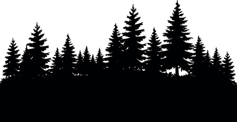 Fototapeta premium Silhouette of dense pine forest landscape at dawn vector
