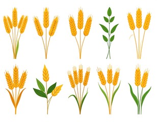 A collection of stylized wheat stalks and leaves in a vibrant yellow and green color palette, showcasing various growth stages.