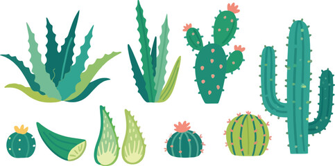 Vibrant Cactus and Aloe Vera Collection Colorful Desert Plants and Succulents Featuring Assorted Shapes and Sizes Perfect for Desert Inspired Designs